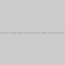 Image of Recombinant Legionella Pneumophila pagP Protein (aa 21-186)
